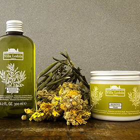 Organic Color Organic Color